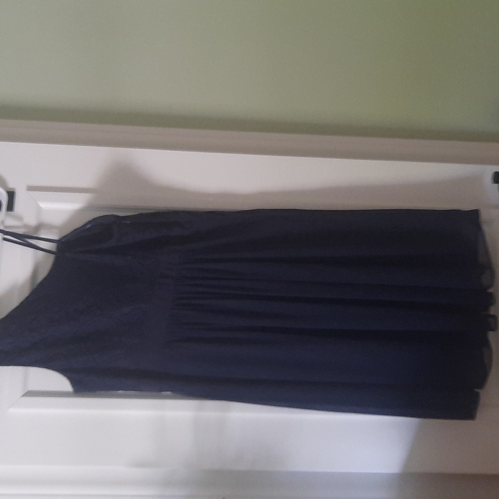 Adrianna Papell Dress - Picture 5 of 5